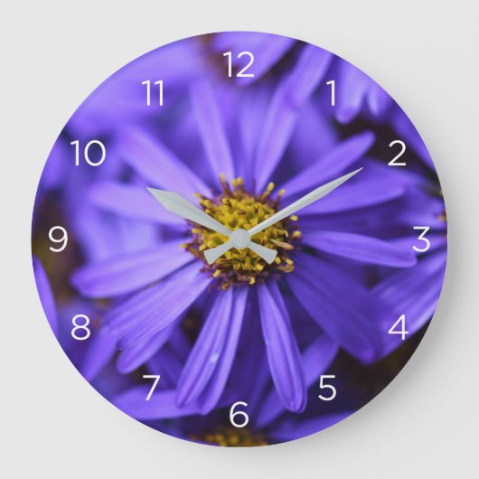 Fleurs pourpres Aster Numéros Horloge murale (Recto)