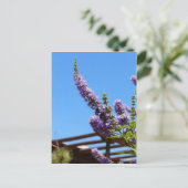 Fleurs pourpres du désert Carte postale (Debout devant)