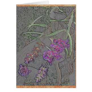 Fleurs pourpres sensibles