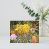 Fleurs Printemps Dans Carte Postale Bordure (Debout devant)