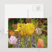Fleurs Printemps Dans Carte Postale Bordure (Devant / Derrière)