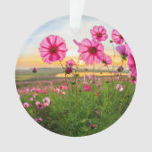 Fleurs |Province de Chiang Rai, Thaïlande (devant)