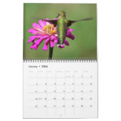Fleurs qui attirent calendrier des colibris (Jan 2026)
