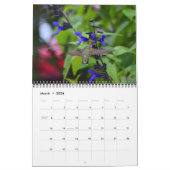 Fleurs qui attirent calendrier des colibris (Mar 2026)