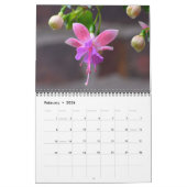 Fleurs qui attirent calendrier des colibris (Feb 2026)