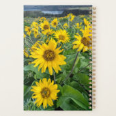 Fleurs | Rivière Balsomroot Columbia, Oregon (Dos)