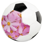 Fleurs roses (3/4)