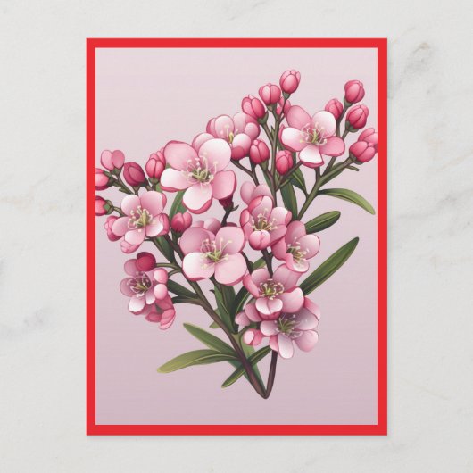 FLEURS ROSES #2 Carte postale (Devant)