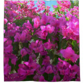 Fleurs roses Bougainvilliers, Rideau de douche (Devant)