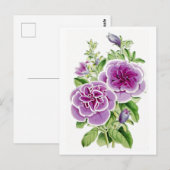 Fleurs roses Carte Postale Botanique Vintage (Devant / Derrière)