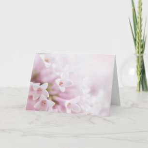 Fleurs roses de cartes de voeux horizontales