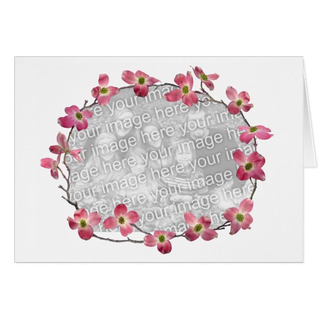 Fleurs roses de cornouiller (Devant horizontal)