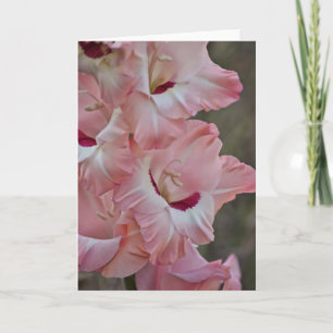 Fleurs roses de Gladiolus Carte de notes d'art