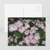 Fleurs roses do-it-yourself Carte postale (Devant / Derrière)