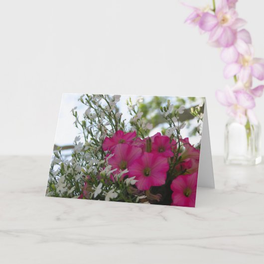 Fleurs roses et blanches - Carte Vineyard de Marth (Orchidée)