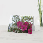 Fleurs roses et blanches - Carte Vineyard de Marth (Devant)