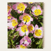 Fleurs roses et jaunes (Dos)