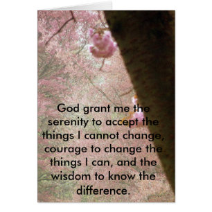 Fleurs Roses Et Verset Sérénité