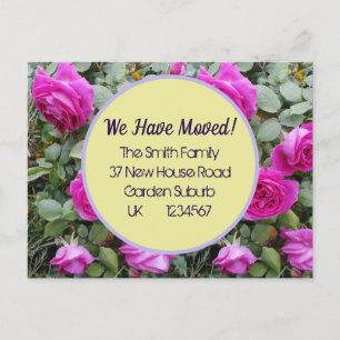 Fleurs roses Nouvelle Adresse Carte Postale, Nous