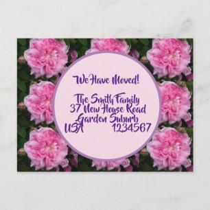 Fleurs roses Nouvelle Adresse Carte Postale, Nous 