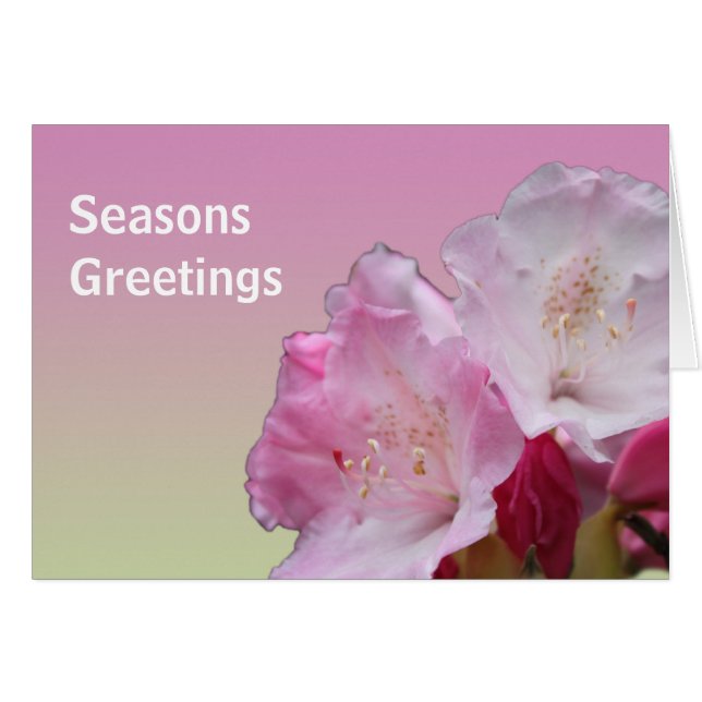 fleurs roses rhododendron Joyeuses Fêtes (Devant horizontal)