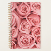 Fleurs | Roses roses (Devant)