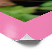 Fleurs roses Tulipes florales Tulipes Poster du ja (Coin)