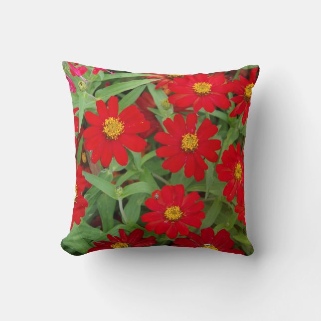 Fleurs rouges avec coussin Centres Jaunes (Recto)