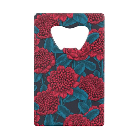 Fleurs rouges de waratah (Dos)