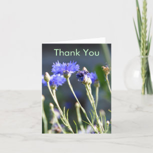 Fleurs sauvages 1, Merci