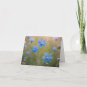 Fleurs sauvages bleus dans le pré (Devant)