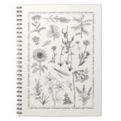 Fleurs sauvages botaniques Vintage Carnet floral (Devant)