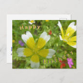 Fleurs sauvages : Carte d'anniversaire jaune blanc (Devant / Derrière)