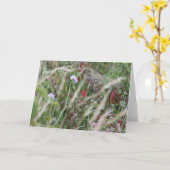 Fleurs sauvages, carte de voeux de collines de (Fleur jaune)