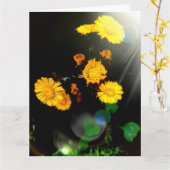 Fleurs sauvages dans la carte soleil (Fleur jaune)
