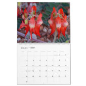 Fleurs sauvages d'Australie-Occidentale Calendrier (Jan 2027)