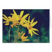 Fleurs sauvages d'été (Devant horizontal)