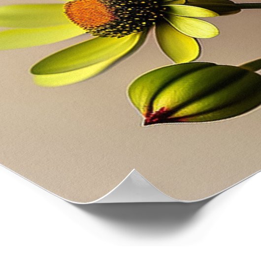 Fleurs Sauvages Et Abeilles - Impression D'Art (Coin)