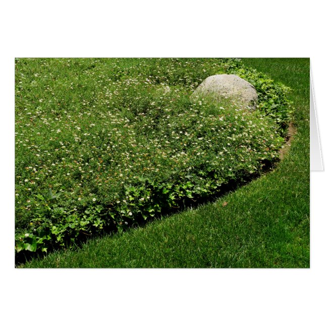 Fleurs sauvages Herbe verte (Devant horizontal)