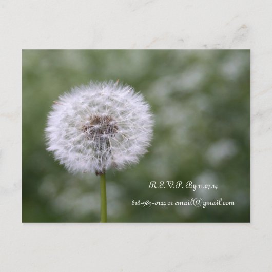 Fleurs Sauvages Mariage Invitations et Faveurs (Dos)