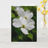 FLEURS SAUVAGES PA - Carte pour notes Dogwood (Fleur jaune)