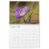 Fleurs sauvages Wild Abourt #3 Calendrier (Feb 2026)