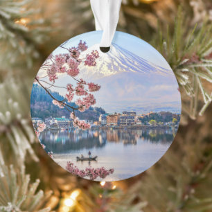 Fleurs Spring Cherry Blossoms Japon