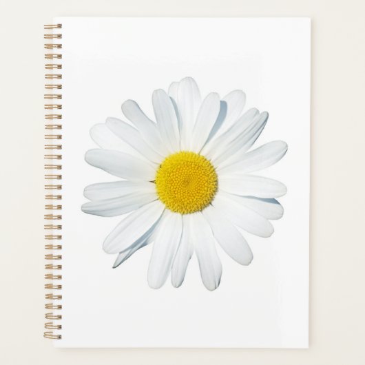 Fleurs | Taille unique (Devant)
