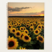 Fleurs | Terrain de tournesol (Devant)