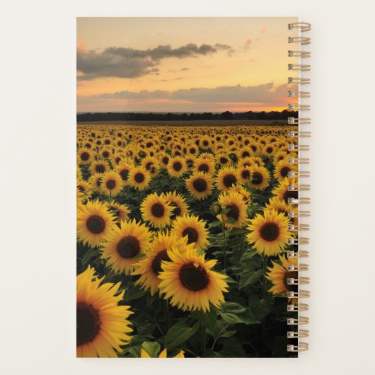 Fleurs | Terrain de tournesol (Dos)