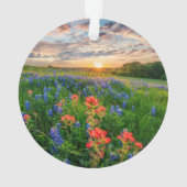 Fleurs | Texas Bluebonnets & Indian Paintbrush (dos)