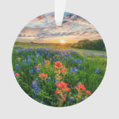 Fleurs | Texas Bluebonnets & Indian Paintbrush (devant)