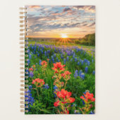 Fleurs | Texas Bluebonnets & Indian Paintbrush (Devant)