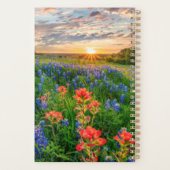Fleurs | Texas Bluebonnets & Indian Paintbrush (Dos)